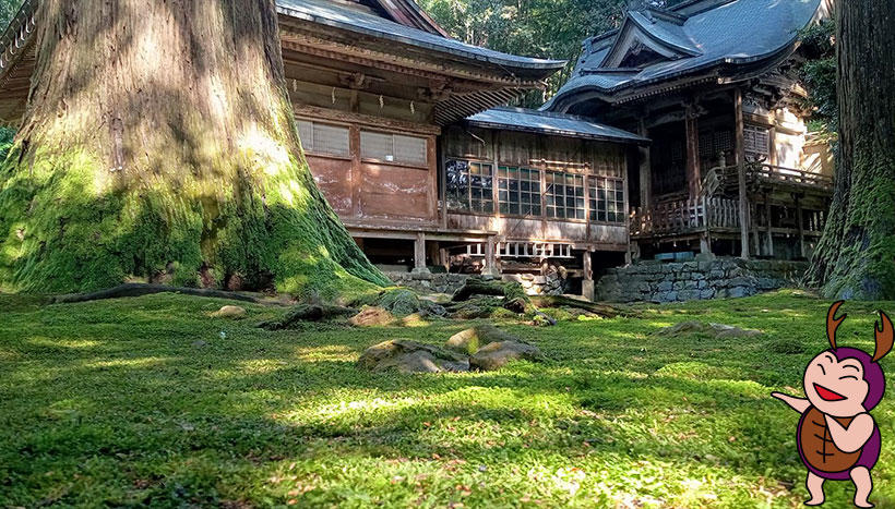 写真：安波賀春日神社（福井県福井市安波賀町鎮座）