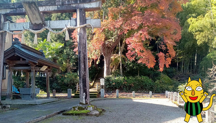 写真：安波賀春日神社（福井県福井市安波賀町鎮座）